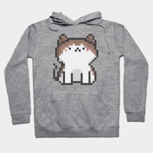 Pixel Quiet White Brown Hair Cat 50 Hoodie